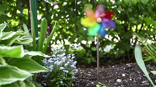 Colorful windwheel in the garden, summertime, cinemagraph