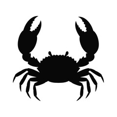 crab on white background