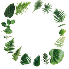 Verdant Circle: A meticulously arranged composition of vibrant green leaves forms a captivating circular frame, creating a versatile visual that symbolizes growth, renewal, and organic beauty.