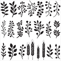 Fototapeta premium Leaf nature pattern vector image