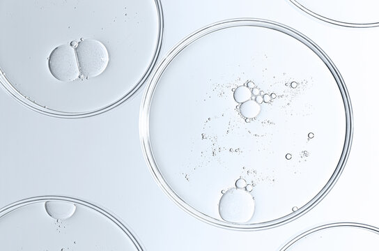 The texture of a cosmetic serum or body gel in a Petri dish.