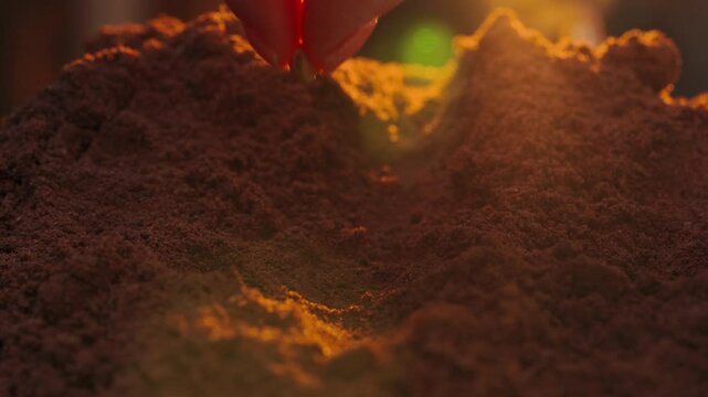 Woman's fingers placing a soybean seed in the red soil at sunset in the field.