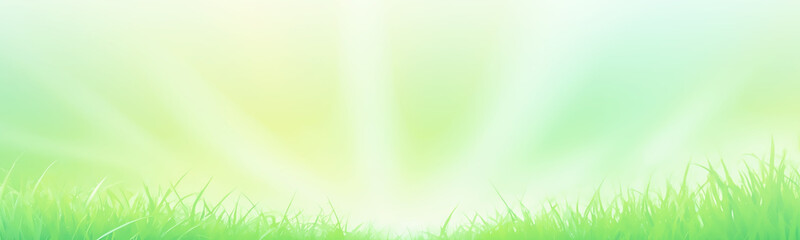 Fototapeta premium Light green wide banner background with natural elements. The soft and calming shade of green creates a pleasant atmosphere.