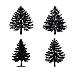 Set of fir branches silhouette