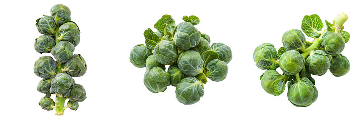 Fototapeta premium Three fresh Brussels sprouts arrangements.