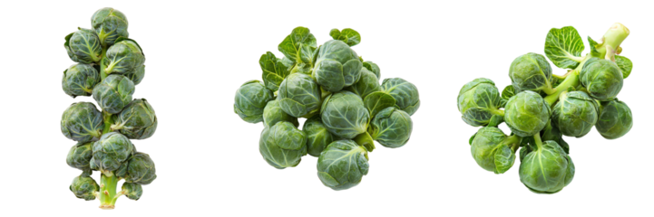 Three fresh Brussels sprouts arrangements.