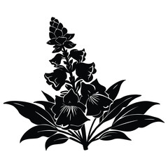 Foxglove Silhouette