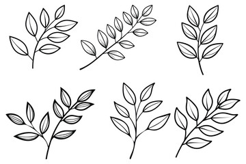 minimalist botanical line drawing