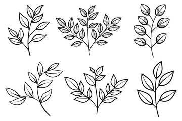 Fototapeta premium minimalist botanical line drawing