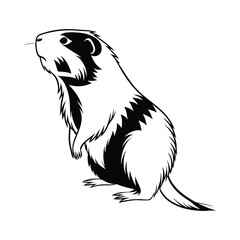 Groundhog standing and looking up in black and white illustration.