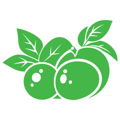 Green Plums Fruit With Leaves Illustration Vector Graphic Template Design