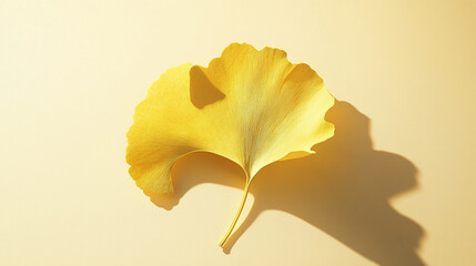 Naklejka premium Fallen ginkgo leaf placed neatly in center of pale s
