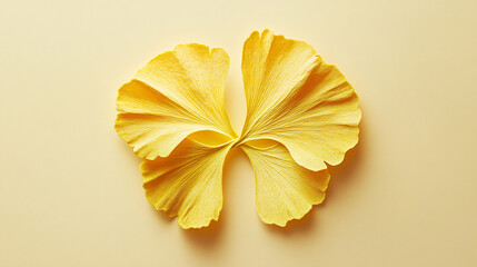 Fallen ginkgo leaf placed neatly in center of pale s