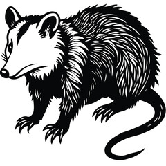 Obraz premium Adobe Illustrator ArtwoColor vector illustration of children's activity coloring book pages with pictures of Animal opossumrk