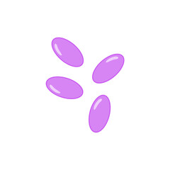 Coccobacillus bacteria. Science education vector illustration
