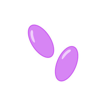 Coccobacillus bacteria. Science education vector illustration