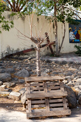 Eglise Saint Pierre des Baobabs dans la ville de Dakar au Sénégal en Afrique