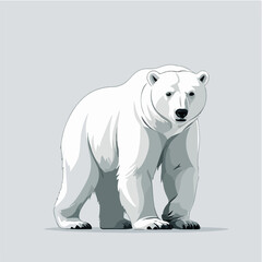 Fototapeta premium simple design of polar bear wild animal arctic 