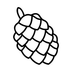 Outline drawing of pine cone illustration vector for christmas design and autumn season decoration idea