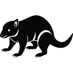 Adobe Vector illustration of zorilla isolated on white background.Illustrator Artwork