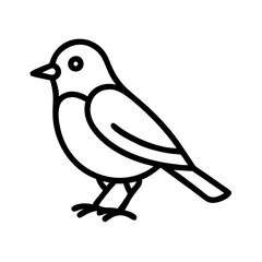 Illustration of a small bird outline vector drawing for ornithology and nature enthusiasts design element