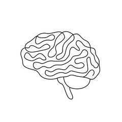 human brain drawn in linear style . vector illustration isolated on white background