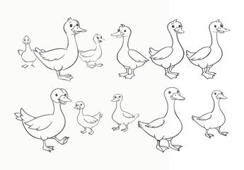Set of grey Goose birds in different poses and colors isolated on white background.