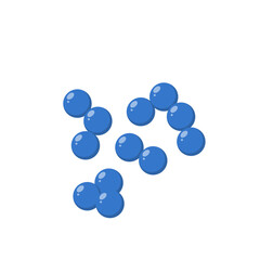 Cocci bacteria microbiology. Vector illustration in flat style.