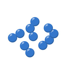 Cocci bacteria microbiology. Vector illustration in flat style.