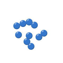 Cocci bacteria microbiology. Vector illustration in flat style.