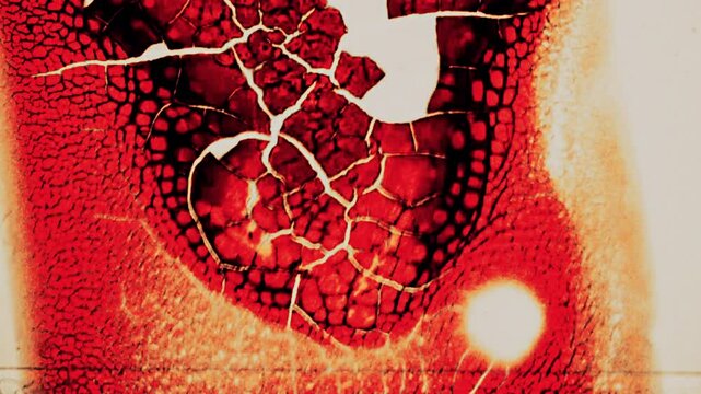 Old Film Leader Vintage Reel Burn Marks Seamless 4K Video Background Overlay Effect Loop