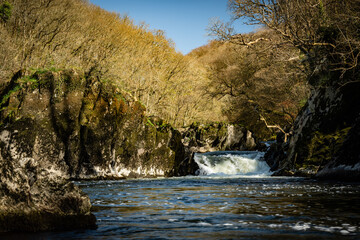 Cenarth falls on the Teifi