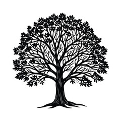 Obraz premium tree with roots