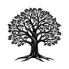 Obraz premium tree with roots