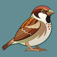 Obraz premium Sparrow Vector Illustration – Cartoon Clipart & Line Art Printable Design