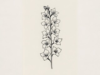 Delicate Larkspur Flower Line Art Illustration
