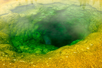 Closeup Geyser in Yellowstone National Park Wyoming