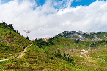 Mountain landscape with meadow. Mountainous landscape with cloudy sky. Scenic green hill mountain. Travel destination. Breathtaking summer day in wild mountain with coniferous forest and green slopes