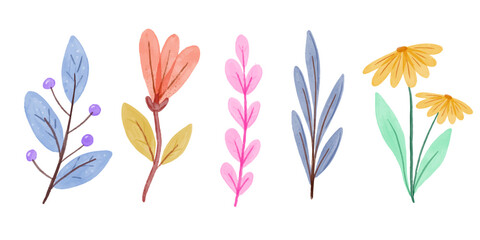 Set watercolor wild flowers. Collection botanic garden elements. Vector isolated illustration in pastel color style