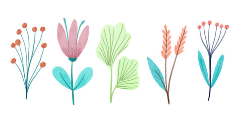 vector illustration of flowers. Floral watercolor set. Different vector elements. Hand drawn detailed botanical vector illustration