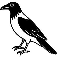 Obraz premium Crow Vector Illustration – Cartoon, Clipart & Line Art Printable Graphic Design