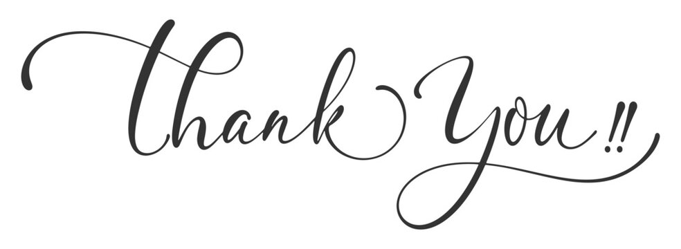 Thank you hand writen lettering calligraphy