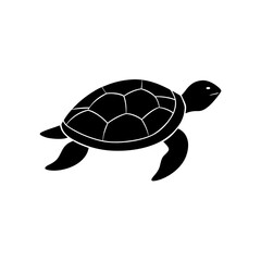 turtle vector illustration