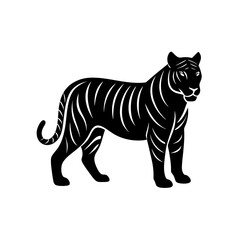tiger on white background