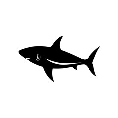 shark vector illustration