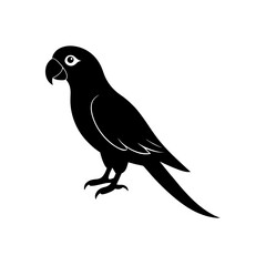 bird on a branch