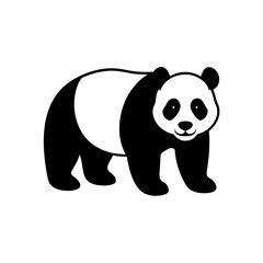 vector illustration of panda © Anondo