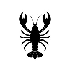 black scorpion isolated on white background
