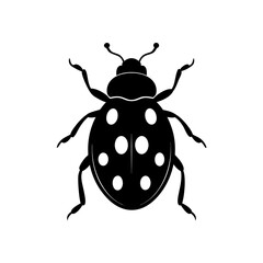 vector illustration of a ladybug