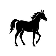 horse silhouette isolated on white